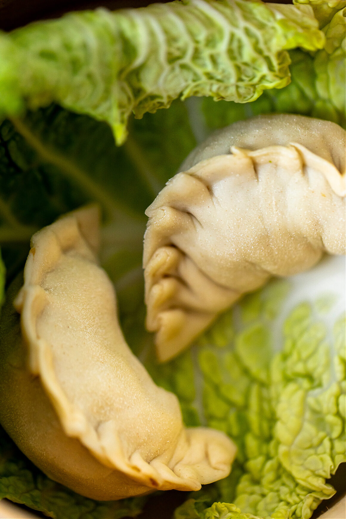 Impasti base per la pasta trafilata al torchio - Gabila Gerardi